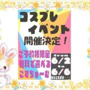 ヒメ日記 2025/05/30 16:05 投稿 らむ ていくぷらいど.学園