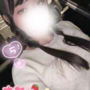 ヒメ日記 2025/06/02 22:05 投稿 らむ ていくぷらいど.学園