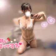 ヒメ日記 2025/06/25 19:31 投稿 らむ ていくぷらいど.学園