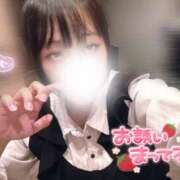 ヒメ日記 2025/09/05 06:15 投稿 らむ ていくぷらいど.学園