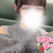 ヒメ日記 2025/11/19 23:34 投稿 らむ ていくぷらいど.学園