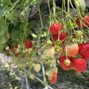 ヒメ日記 2026/03/05 10:48 投稿 まな ラブコレ