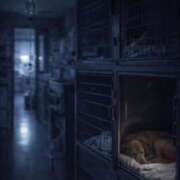 ヒメ日記 2026/03/21 12:39 投稿 森田 パンドラ（吉原）