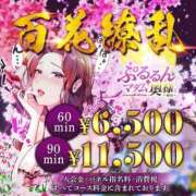 ちとせ イベント開催中〜😘 ぷるるんマダム 難波店