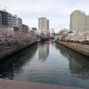 ヒメ日記 2025/04/05 22:45 投稿 るい姫 螢