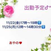 ヒメ日記 2024/11/20 08:41 投稿 あやの 大宮おかあさん