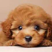 ヒメ日記 2024/12/13 14:01 投稿 あやの 大宮おかあさん