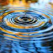 ヒメ日記 2024/12/14 10:36 投稿 あやの 大宮おかあさん