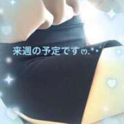 ヒメ日記 2024/12/15 23:21 投稿 あやの 大宮おかあさん