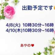 ヒメ日記 2025/04/07 13:01 投稿 あやの 大宮おかあさん