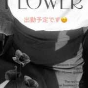 ヒメ日記 2025/05/17 08:48 投稿 あやの 川越おかあさん