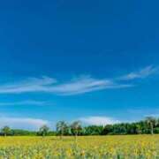 ヒメ日記 2025/06/09 09:08 投稿 あやの 川越おかあさん