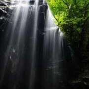 ヒメ日記 2025/08/22 08:48 投稿 あやの 川越おかあさん