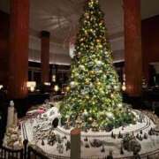 ヒメ日記 2024/12/21 12:05 投稿 まな フィエスタ