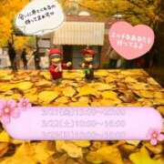 ヒメ日記 2025/03/17 12:30 投稿 まりか 夜這い茶屋 はなれ