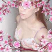 ヒメ日記 2025/04/20 22:04 投稿 まりか 夜這い茶屋 はなれ