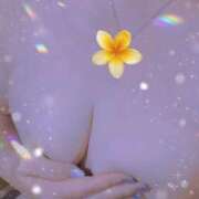 ヒメ日記 2025/09/07 21:34 投稿 まりか 夜這い茶屋 はなれ