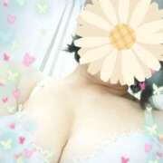 ヒメ日記 2025/04/14 10:38 投稿 いづみ モアグループ小山人妻花壇