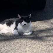 ヒメ日記 2025/05/03 18:09 投稿 いづみ モアグループ小山人妻花壇