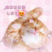 ヒメ日記 2026/01/09 20:00 投稿 いづみ モアグループ小山人妻花壇