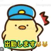 ヒメ日記 2026/02/07 09:16 投稿 いづみ モアグループ小山人妻花壇