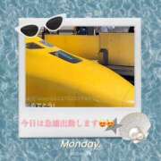 ヒメ日記 2026/03/19 10:27 投稿 いづみ モアグループ小山人妻花壇