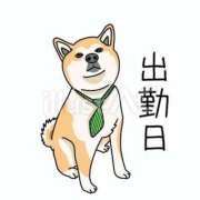ヒメ日記 2026/05/14 09:16 投稿 いづみ モアグループ小山人妻花壇
