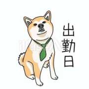 ヒメ日記 2026/10/15 10:00 投稿 いづみ モアグループ小山人妻花壇