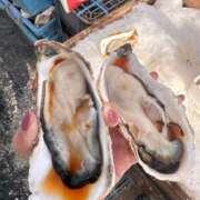 ヒメ日記 2025/02/03 20:07 投稿 ちづる Я’s SPEC2