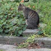 ヒメ日記 2025/04/21 23:28 投稿 ちづる Я’s SPEC2