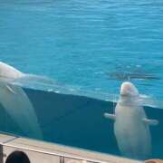 ちづる ！ Я’s SPEC2