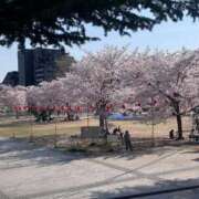 ヒメ日記 2025/04/18 14:34 投稿 せりな 熟女の風俗最終章 仙台店