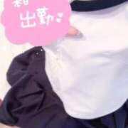 ヒメ日記 2025/01/22 17:23 投稿 まし 花火-hanabi-(すすきの)