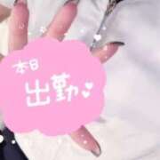 ヒメ日記 2025/03/10 17:10 投稿 まし 花火-hanabi-(すすきの)