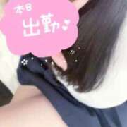 ヒメ日記 2025/03/29 17:23 投稿 まし 花火-hanabi-(すすきの)