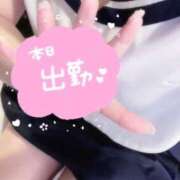 ヒメ日記 2025/06/03 17:13 投稿 まし 花火-hanabi-(すすきの)