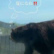 ヒメ日記 2026/02/03 09:03 投稿 まし 花火-hanabi-(すすきの)