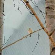 まし 明日 7:00~出勤予定🔖.· 花火-hanabi-(すすきの)