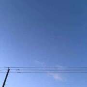 ヒメ日記 2026/03/16 07:01 投稿 まし 花火-hanabi-(すすきの)