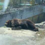 ヒメ日記 2026/04/27 05:13 投稿 まし 花火-hanabi-(すすきの)