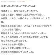 ヒメ日記 2024/10/19 17:24 投稿 あま E+アイドルスクール新宿・歌舞伎町店