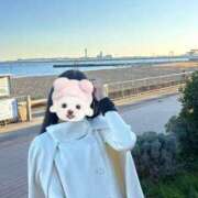 ヒメ日記 2025/11/27 00:14 投稿 あんず E+アイドルスクール新宿・歌舞伎町店