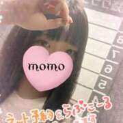 ヒメ日記 2025/02/28 11:58 投稿 もも 東京リップ 池袋店