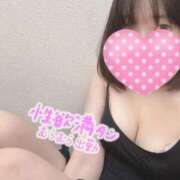 ヒメ日記 2025/10/19 11:22 投稿 もも 東京リップ 池袋店