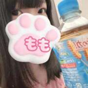 ヒメ日記 2026/02/14 10:29 投稿 もも 東京リップ 池袋店