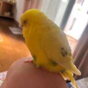 ヒメ日記 2025/04/27 16:47 投稿 まりあ エデンR