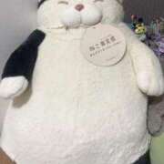 ヒメ日記 2025/09/30 08:51 投稿 まりあ エデンR