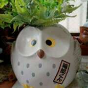 ヒメ日記 2025/05/14 21:48 投稿 若菜-わかな 熟女10000円デリヘル 川崎