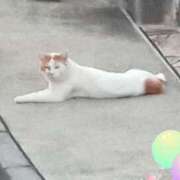 ヒメ日記 2025/06/04 18:10 投稿 若菜-わかな 熟女10000円デリヘル 川崎