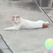 ヒメ日記 2025/11/28 22:16 投稿 若菜-わかな 熟女10000円デリヘル 川崎